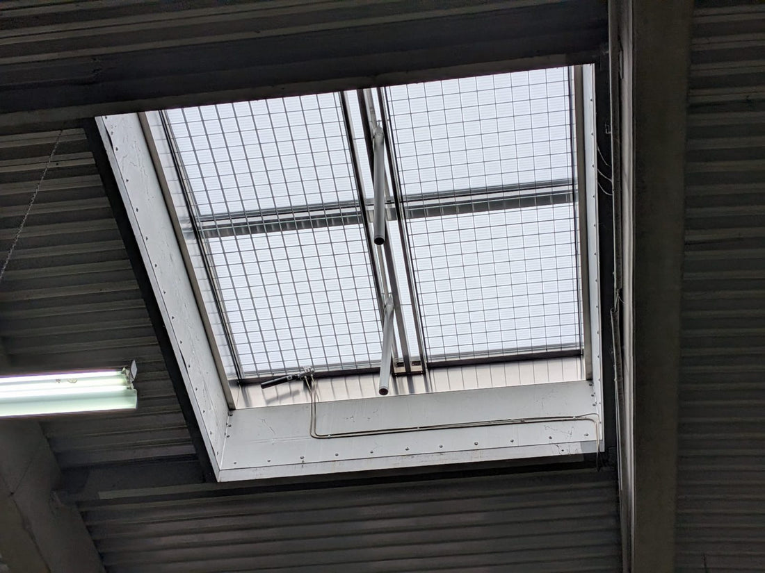 Blick von innen auf eine RWA-Lichtkuppel mit Durchsturzgitter und Öffnungsantrieb